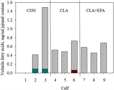 Maternal Conjugated Linoleic Acid Supply in Combination With or Without Essential Fatty Acids During Late Pregnancy and Early Lactation: Investigations on Physico-Chemical Characteristics of the Jejunal Content and Jejunal Microbiota in Neonatal Calves